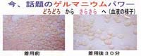 無題07.bmp